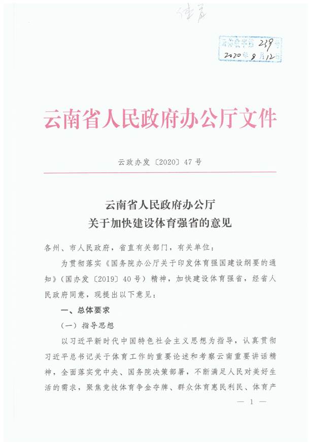 关于加快建设体育强省的意见：云政办发【2020】47号2020.8.12_页面_01
